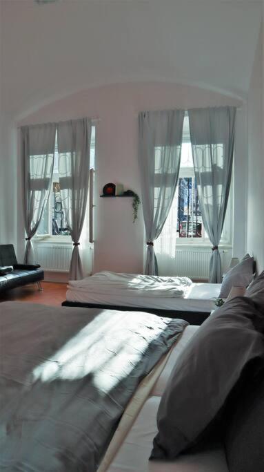 Modern Apartment In The Center Of 프라하 외부 사진